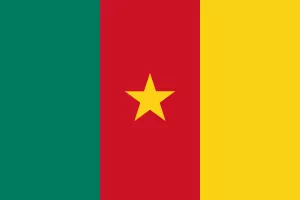 Drapeau du Cameroun avec bandes verte, rouge et jaune, étoile au centre.